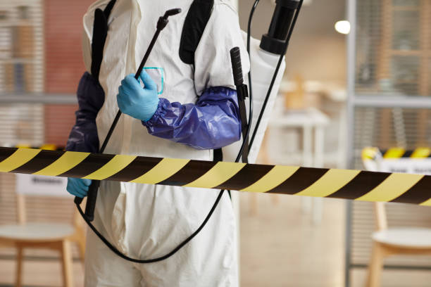 Professional Hoarding Cleanup technician working in Moline, IL
